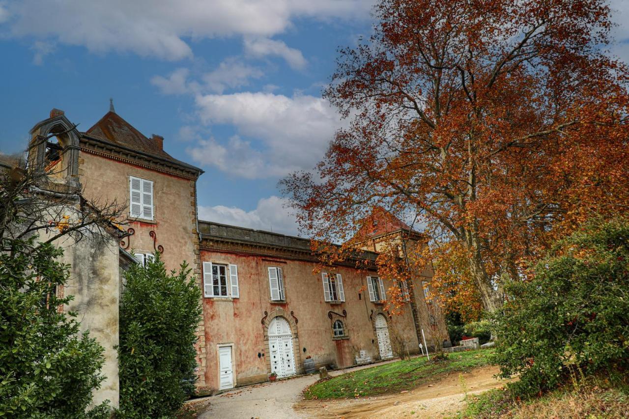 CONDRIEU T3 Climatisé 2ème étage Condrieu Extérieur photo